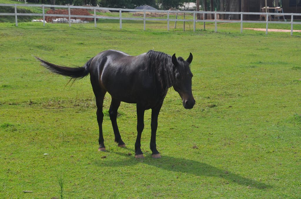 Rancho Js Pousada E Alambique 兰巴里 外观 照片